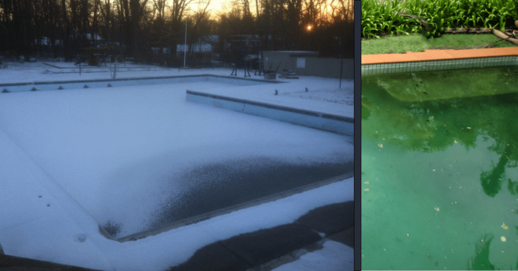 Tips To Prevent Pool Algae During Winter
